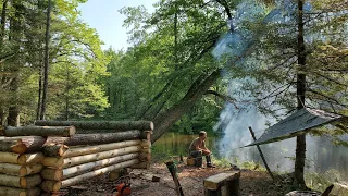 tiny rustic wilderness  log cabin build Episode 5.