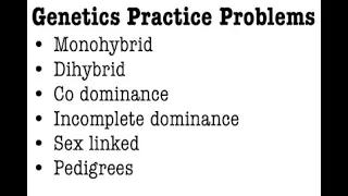 Genetics Practice Problems