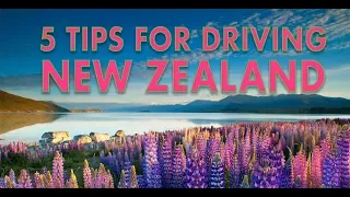 5 Tips for driving in New Zealand