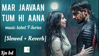 Tum Hi Aana || [slow + Reverb] Marjaavaan Riteish D, Sidharth M, Tara S Jubin N | Payal Dev Kunaal V