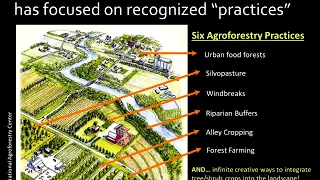 Introduction to Agroforestry with Dr. Sarah Lovell