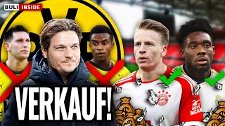 FÜHRICH & DAVIES-Transfer FIX? BVB-TRIO vor VERKAUF! SORGEN um WIRTZ!