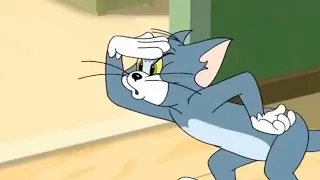 tom and jerry cartoon hindi dubbed 2022