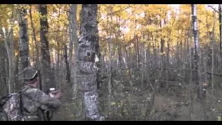 Silvertine, Aussie Leigh 418" Elk Hunt.mpg