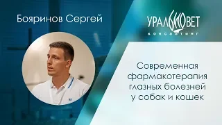 Современная фармакотерапия глазных болезней у собак и кошек. Бояринов Сергей #убвк_офтальмология