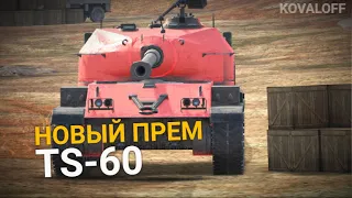 НОВАЯ ПРЕМИУМ ПТ-САУ TS-60 - СТОИТ ЛИ ВЫБИВАТЬ | TANKS BLITZ