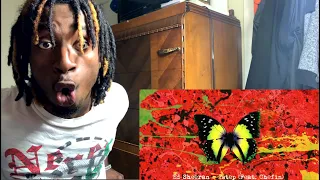 GRINGO REACT 🇺🇸 Ed Sheeran ft.Chefin - 2 Step | REACTION