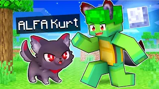 ALFA KURT'U BÜYÜTTÜM! 🐺 - Minecraft