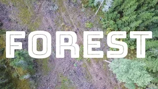 FOREST 2018 Documentary