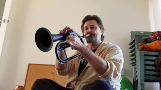 Quick review of the "plastic" Zo Flugelhorn