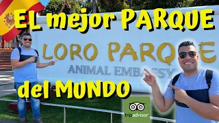 LORO PARQUE, El mejor PARQUE del MUNDO según TRIPADVISOR, ¿SERÁ VERDAD??