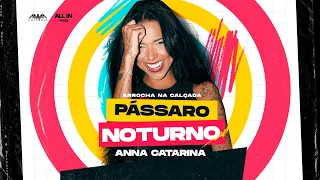 Anna Catarina - Pássaro Noturno (Arrocha na Calçada)