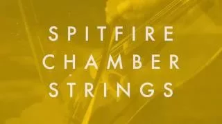 Spitfire Presents: Spitfire Chamber Strings