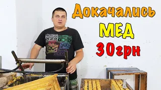 Докачались 🐝 Мед по 30грн/кг