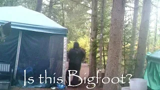 2019 Bigfoot Campsite photo.  Is this a Sasquatch?