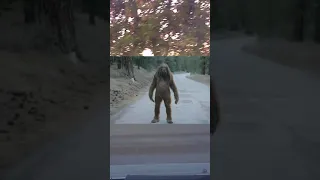 bigfoot