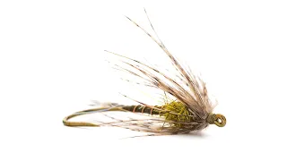 Matt's Wildcard Soft Hackle - GREAT FOR TROUT! - Fly Tying Tutorial