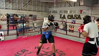 Boxing sparring boxing gym