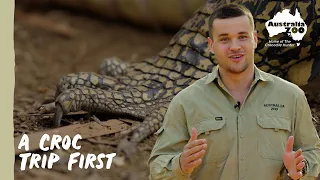 Chandler takes on a new challenge | Wildlife Warriors Missions