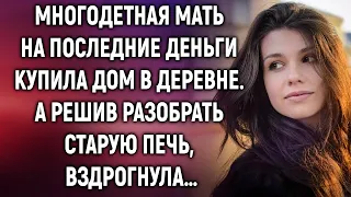 Многодетная мать на последние деньги купила дом в деревне, а решив разобрать печь…