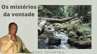 Os mistérios da vontade - Raul Teixeira