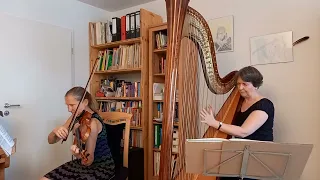 Manx Music: The Flitter Dance gespielt von Agnes Stein von Kamienski und Elisabeth Fröber