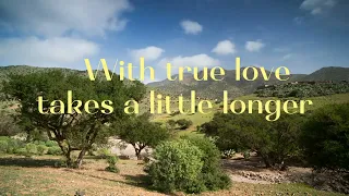 Never Let Her Go(Lyrics) Song By David Gates