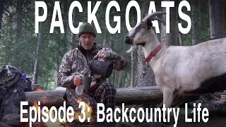 PACKGOATS Episode 3: Backcountry life