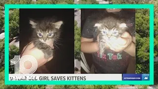 Mom: 9-year-old girl saves 2 kittens from being drowned by group of kids