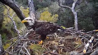AEF NEFL Eagles ~ WHAT A DAY! PART 3 of 3 ~ V4 WAITS FOR GABRIELLE SHE IS NOT HAPPY!! 12/17/22