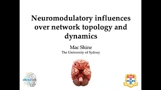 Dynamical Systems in Neuroscience: Mac Shine on Neuromodulation