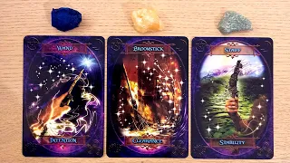 🐈Their INTENTIONS towards You 💖 Their Feelings & Actions 💕 🌻  PICK A CARD Tarot Timeless Reading