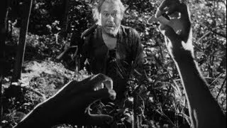 Rashomon - A Ghastly Discovery