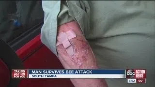 Bee attack nearly kills South Tampa man