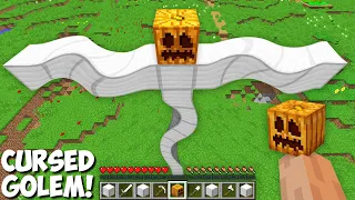 New SECRET WAY TO SPAWN CURSED LONGEST GOLEM in Minecraft ! NEW CROOKED GOLEM !