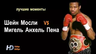 Шейн Мосли vs. Мигель Пена (лучшие моменты)|720p|50fps