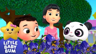 ⭐NEW⭐Sing-A-Song of Colours⭐ LittleBabyBum - Nursery Rhymes for Kids