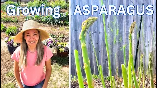 Growing Asparagus from Seed (Seed to Harvest) Timelapse
