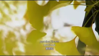 Jasmine Flower-Chinese songs lyrics with Pinyin.茉莉花