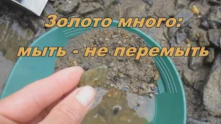 Золото много: мыть не перемыть