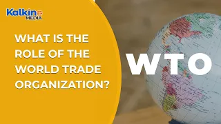 What is the role of the World Trade Organization (WTO) ?