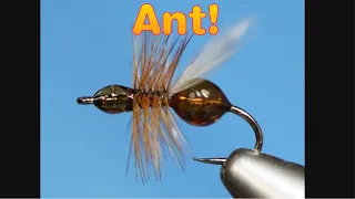 Simple Ant Fly Pattern!