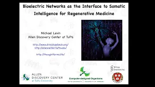 Bioelectric Networks as the Interface to Somatic Intelligence for Regenerative Medicine