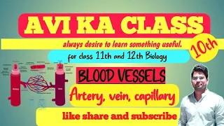 Human circulatory system || structure of Blood Vessels || Tunica externa || interna || media