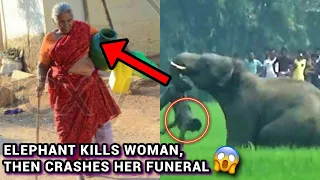 HOW AN ELEPHANT KILLED A WOMAN THEN RETURNED ON HER FUNERAL DAY TO TRAMPLE HER CORPSE 😱 #crime