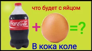 Что будет, если опустить яйцо в Coca-Cola на 3 месяца ???