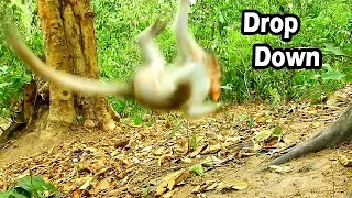 Oh God Help Alba Falldown From Tree So Hurt | Alba Play And Slip Down