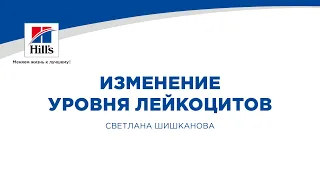 Вебинар на тему: "Изменение уровня лейкоцитов." Лектор - Светлана Викторовна Шишканова.