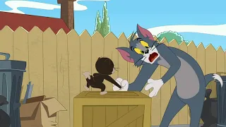 Tom and Jerry Cartoon كرتون توم وجيري