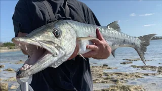 Topwater Barracuda Fishing in the Florida Keys